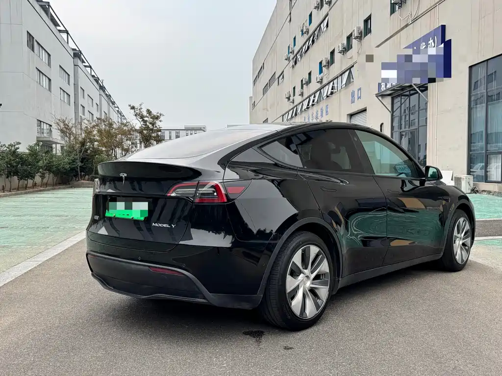 Tesla Model Y — миниатюра 10