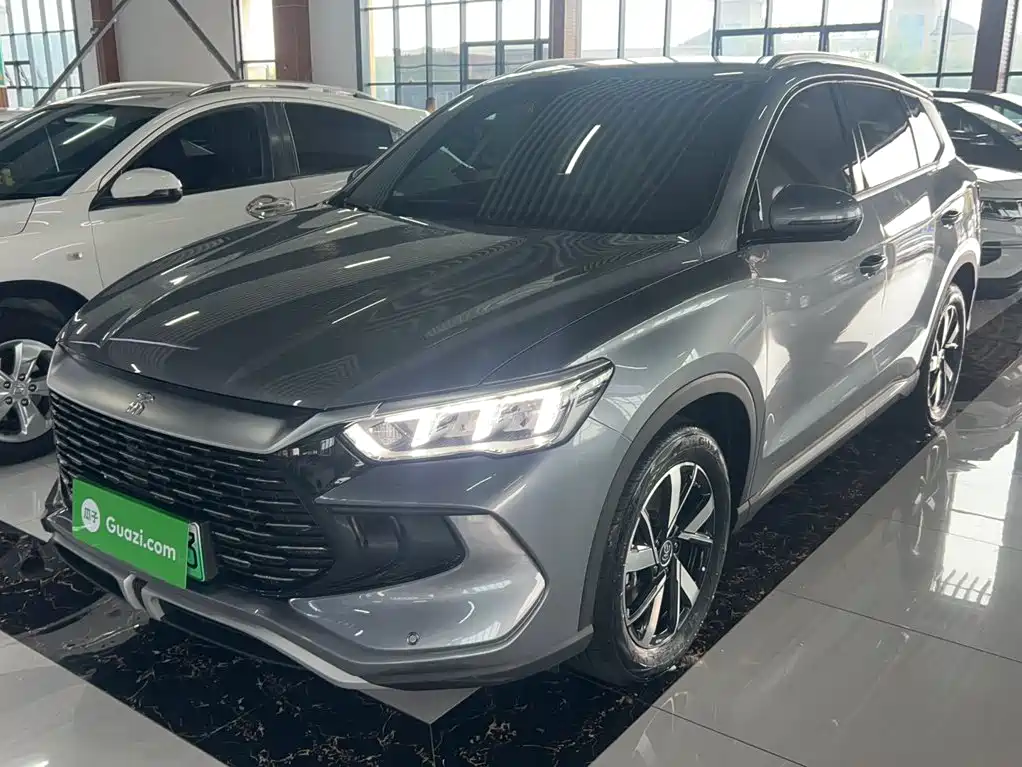 BYD Pro New Energy