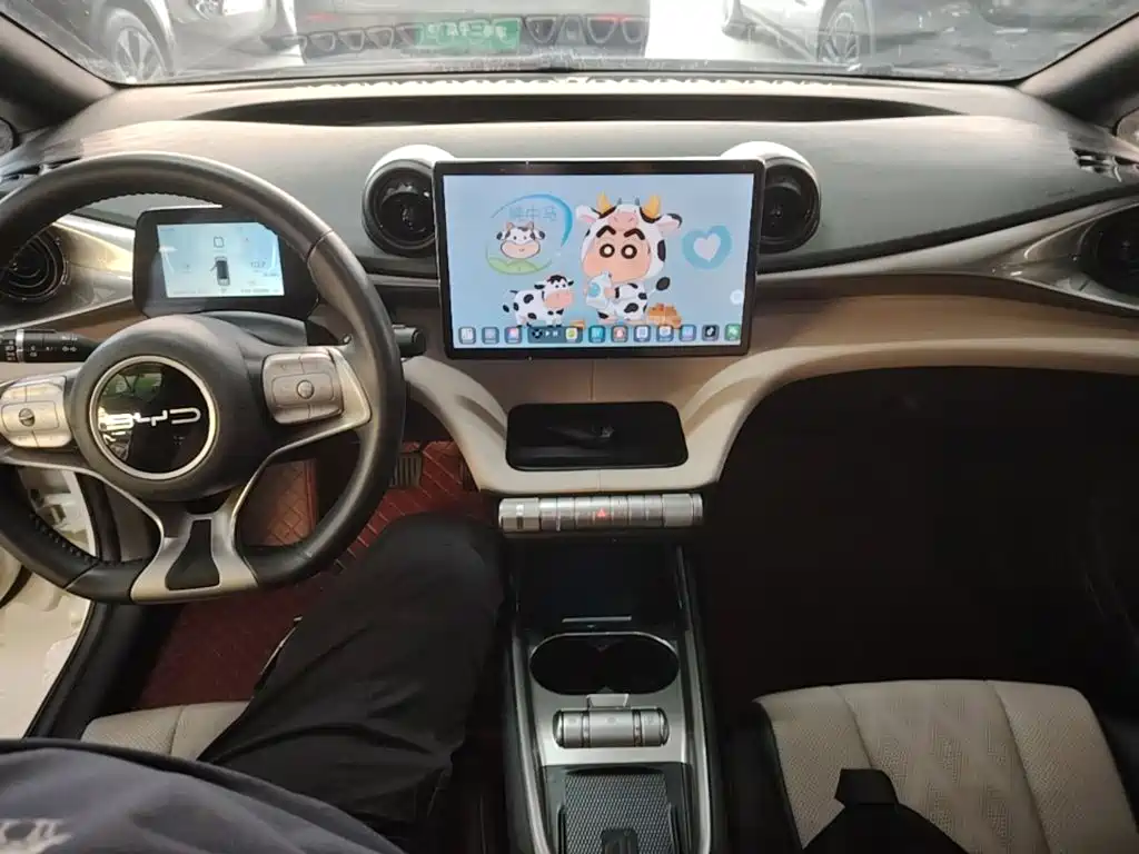 BYD Dolphin — миниатюра 10