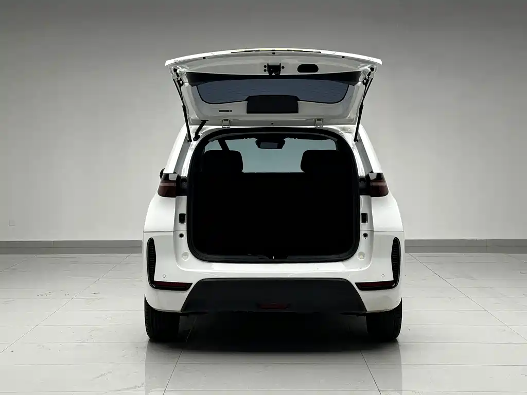BYD D1 — миниатюра 19
