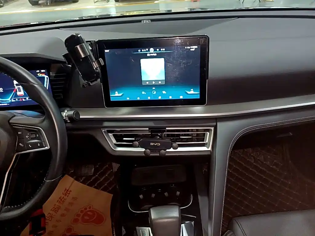 BYD Pro — миниатюра 13