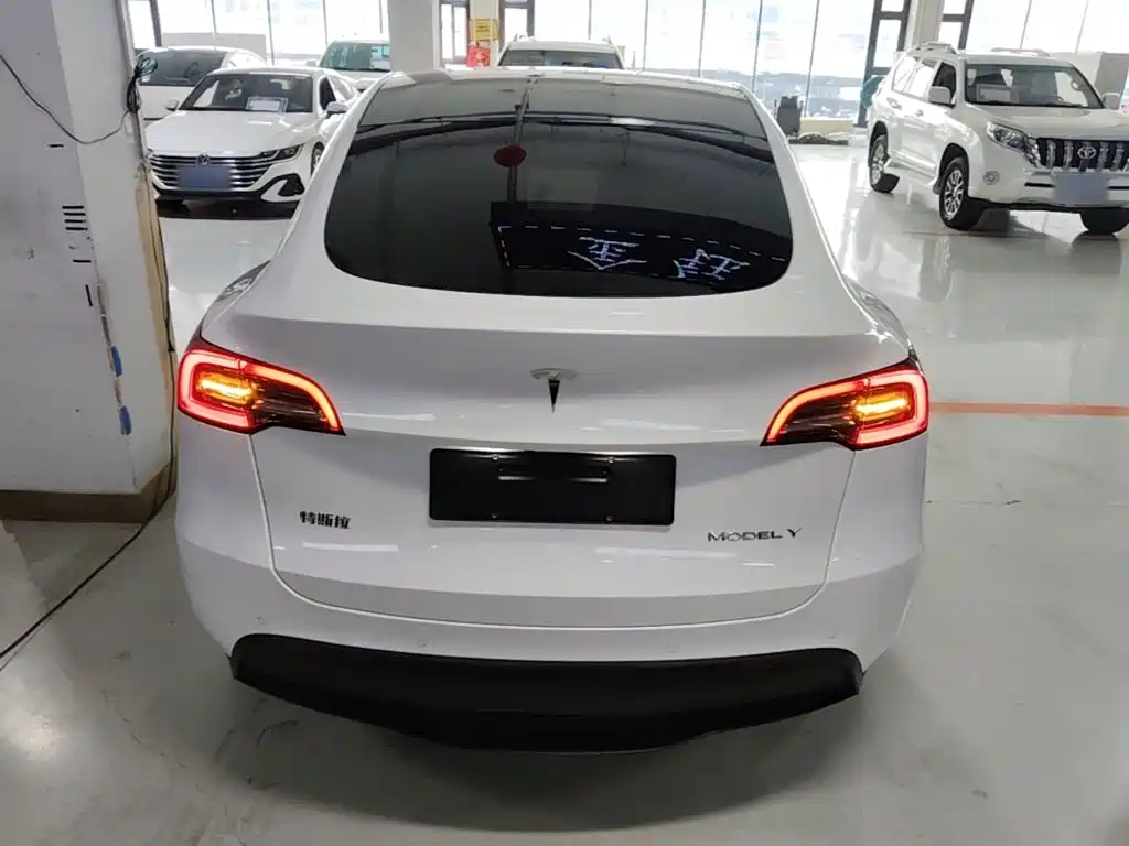 Tesla Model Y — миниатюра 6