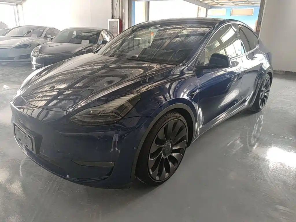 Tesla Model Y — миниатюра 2