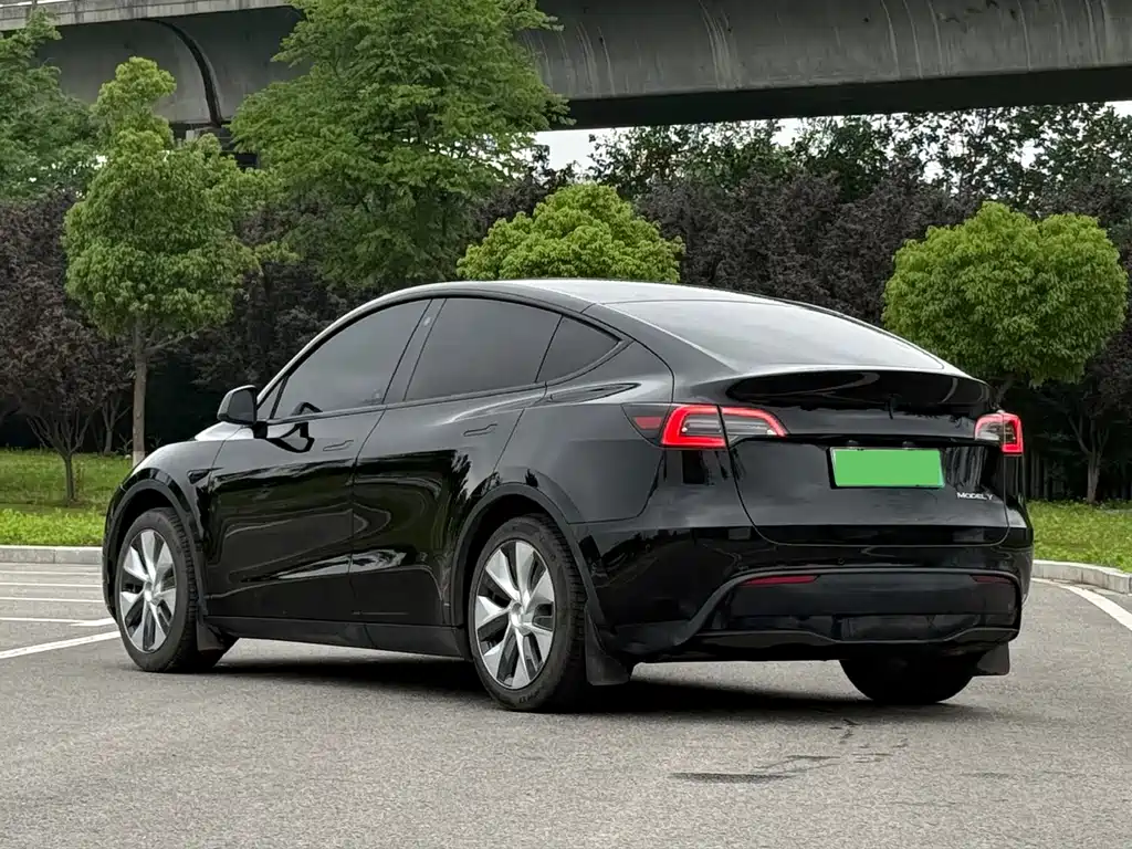 Tesla Model Y — миниатюра 4