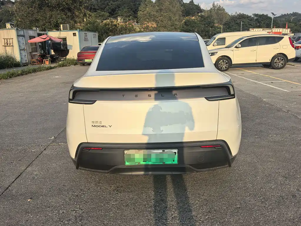 Tesla Model Y — миниатюра 8
