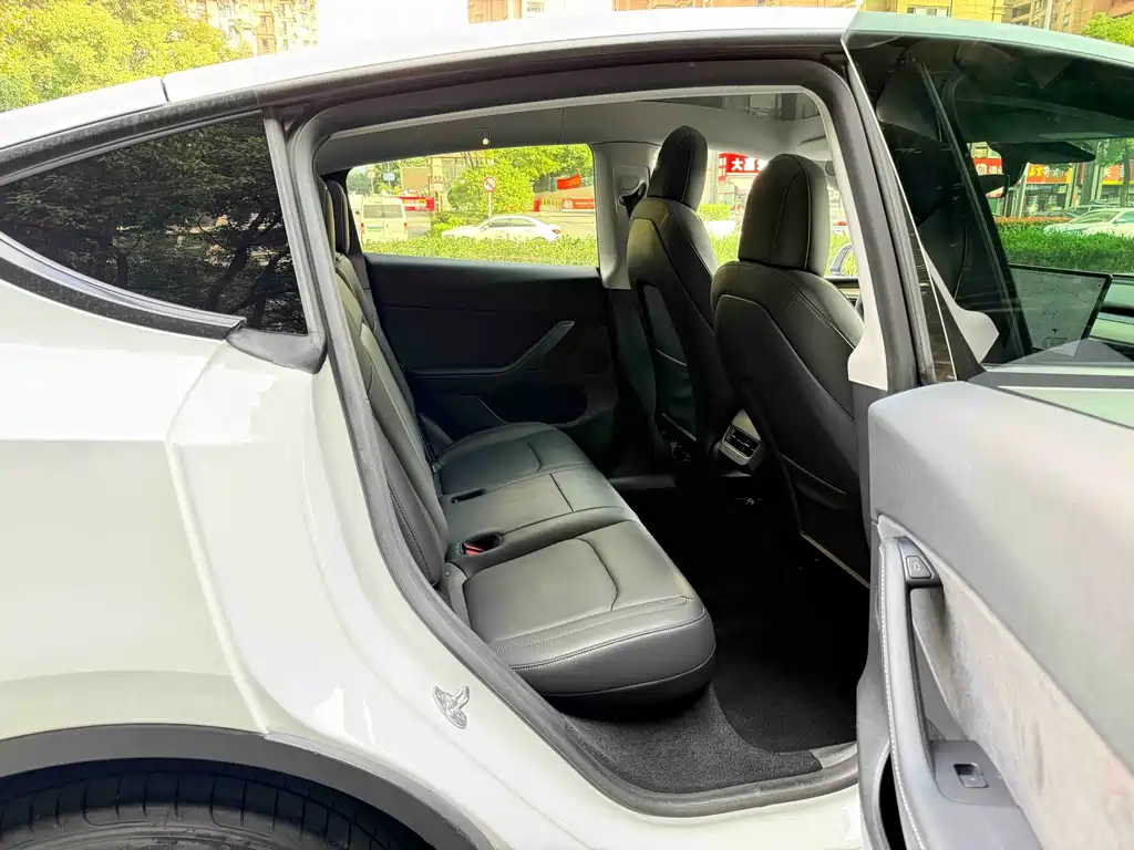 Tesla Model Y — миниатюра 12