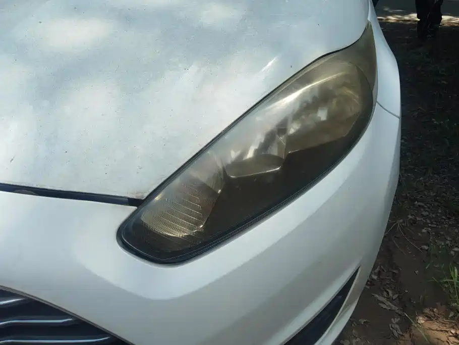 Ford Fiesta — миниатюра 5