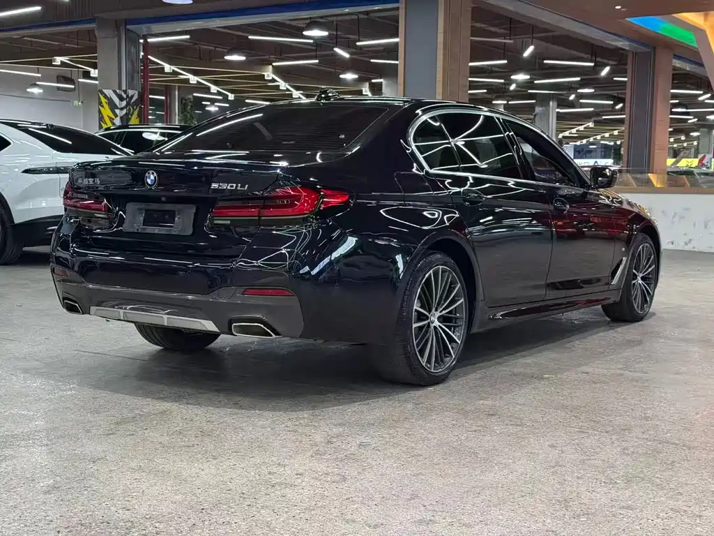 BMW 5 Series — миниатюра 10