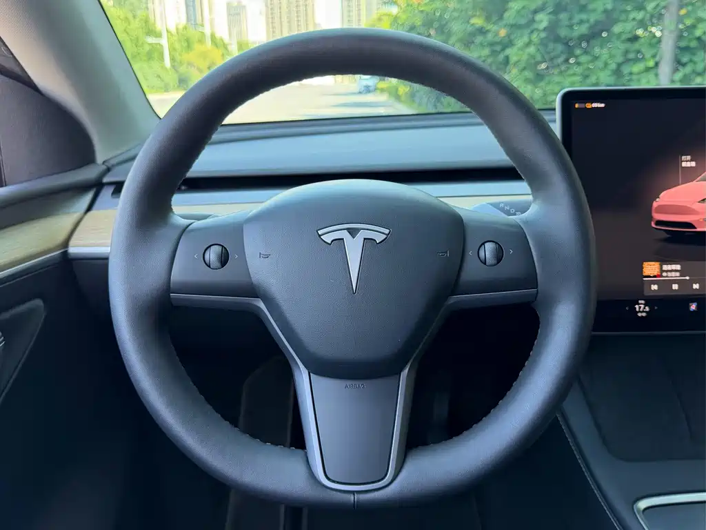 Tesla Model Y — миниатюра 7