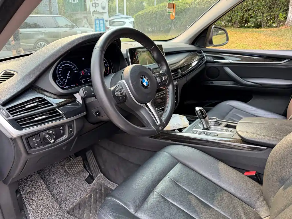 BMW X5 (Import) — миниатюра 7