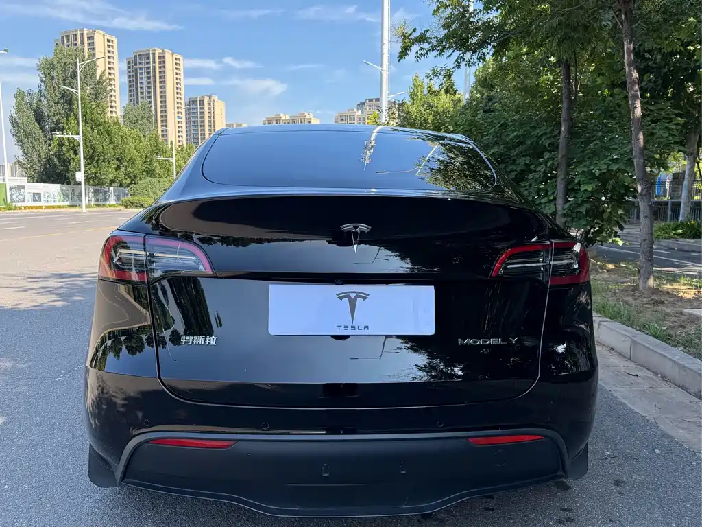 Tesla Model Y — миниатюра 22
