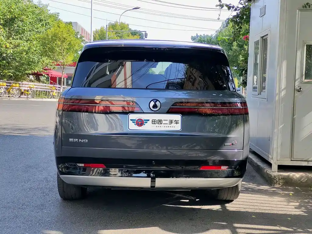 Denza Denza N9 — миниатюра 5