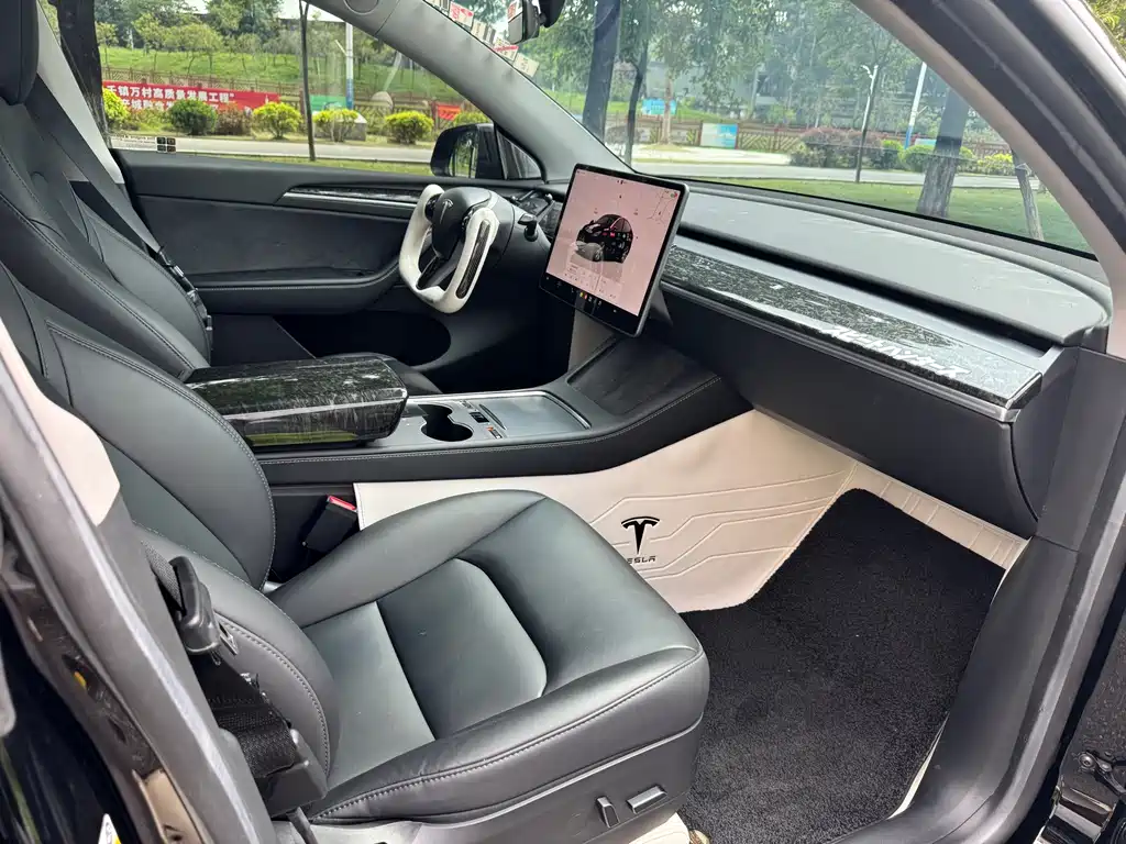 Tesla Model Y — миниатюра 6
