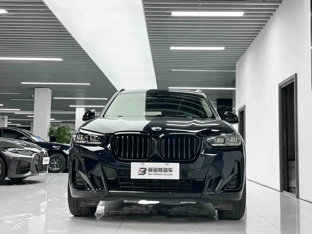 BMW X3 — миниатюра 2