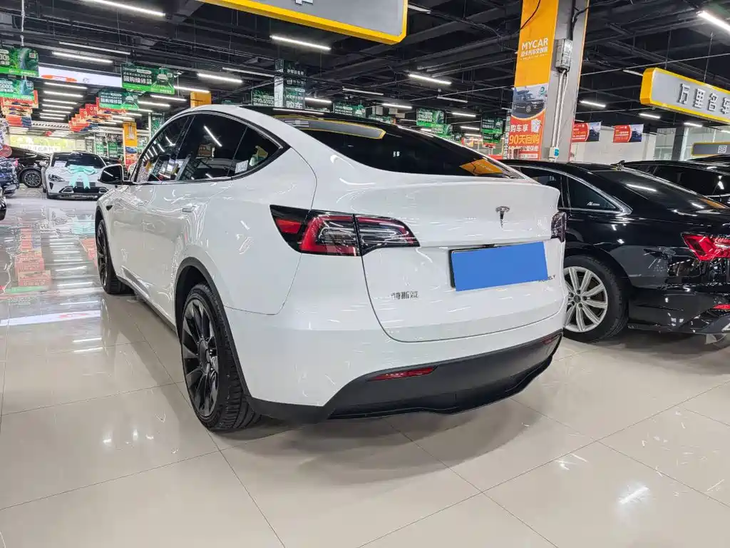 Tesla Model Y — миниатюра 4