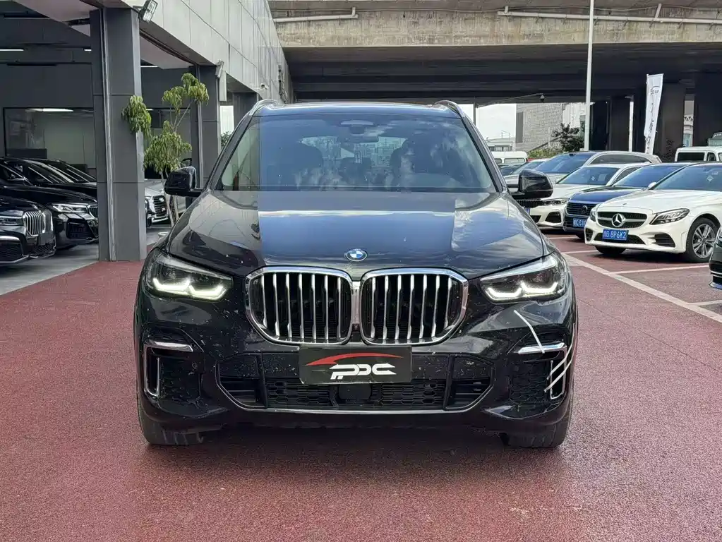 BMW X5 — миниатюра 3