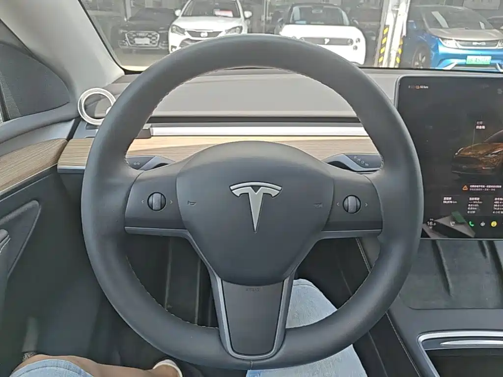 Tesla Model Y — миниатюра 7