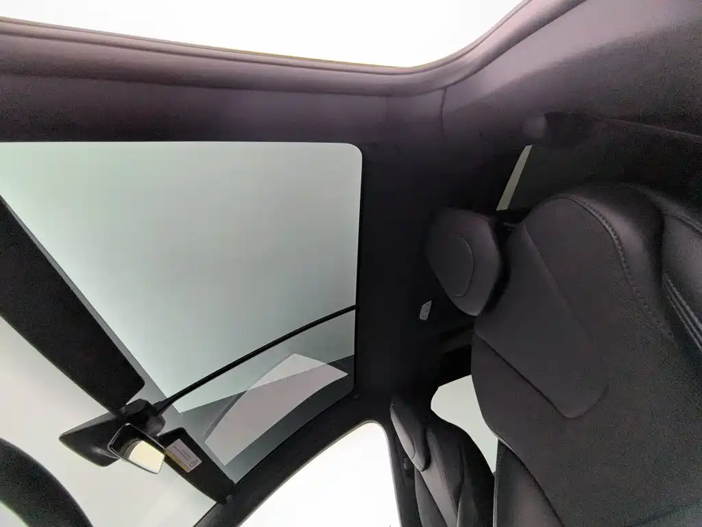 Tesla Model X — миниатюра 14