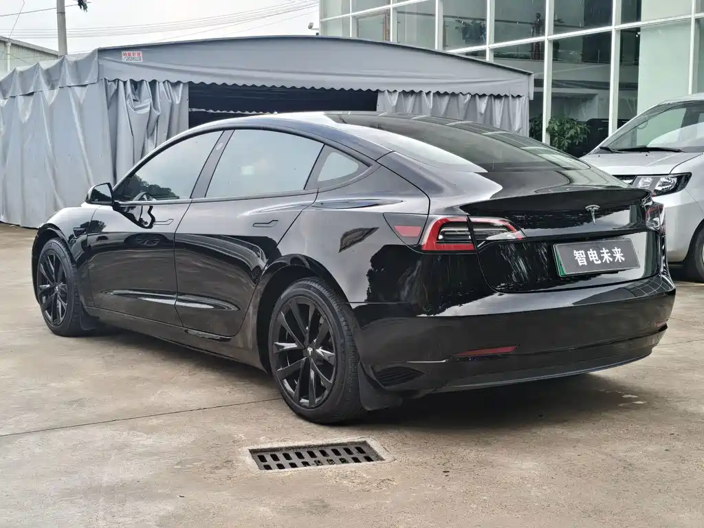 Tesla Model 3 — миниатюра 5