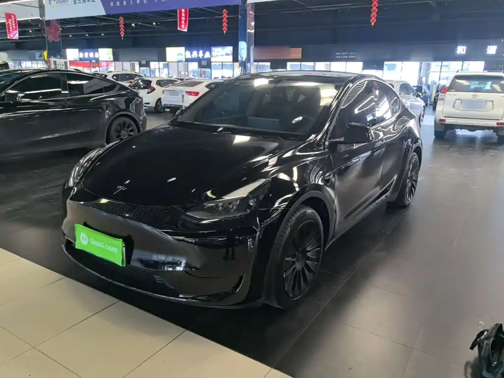 Tesla Model Y — миниатюра 2