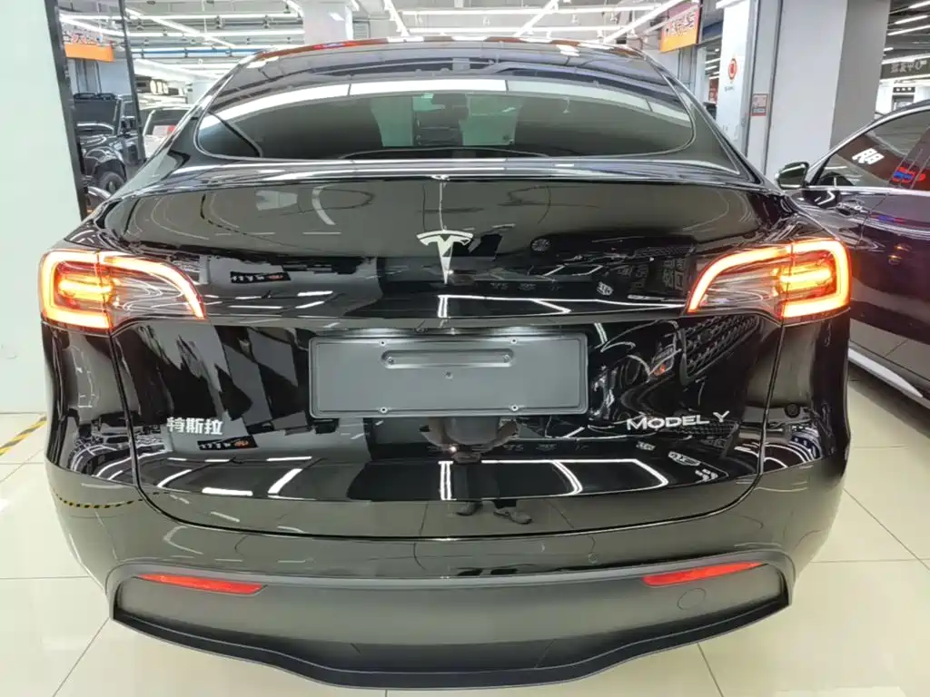 Tesla Model Y — миниатюра 6