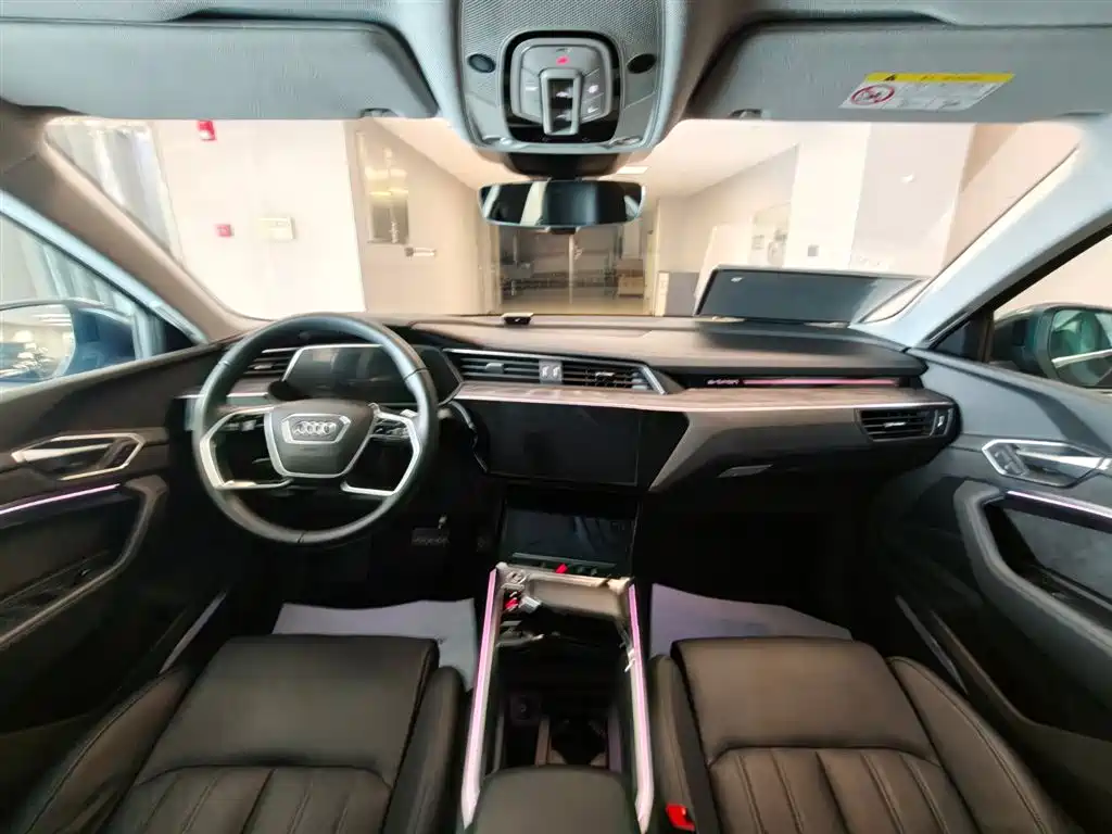 Audi e-tron (Import) — миниатюра 14