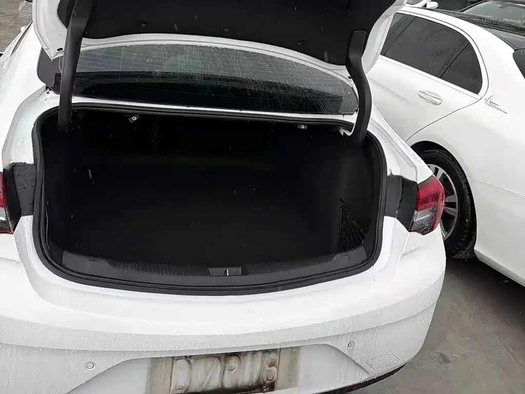 Buick Regal — миниатюра 9