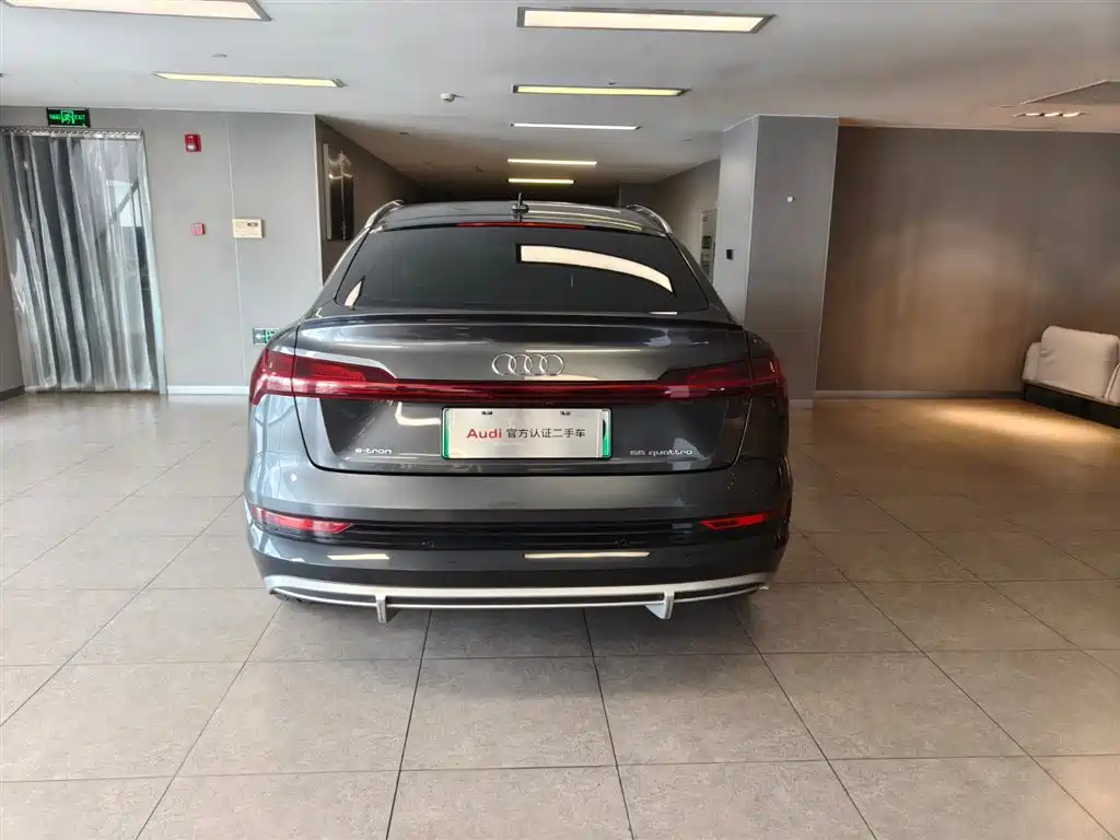 Audi e-tron (Import) — миниатюра 5