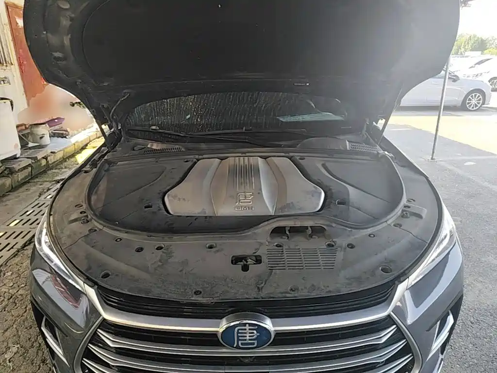 BYD Tang New Energy — миниатюра 20