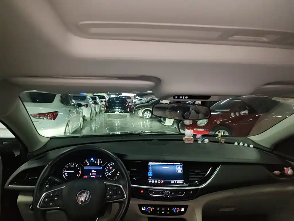 Buick Regal — миниатюра 18
