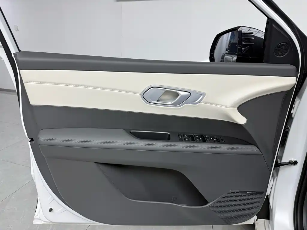 Hyundai EO — миниатюра 13