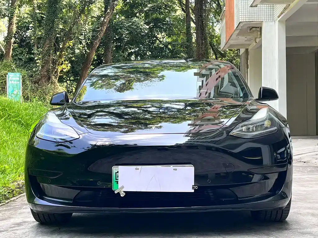 Tesla Model 3 — миниатюра 2