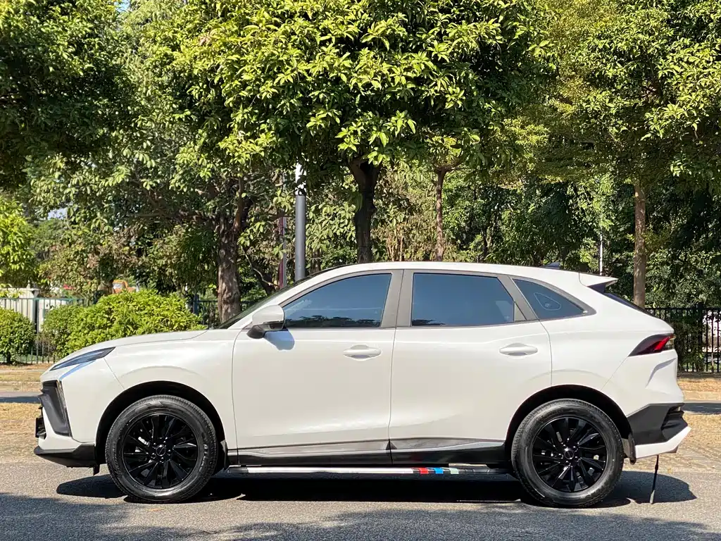 DONGFENG POPULAR T5 EVO