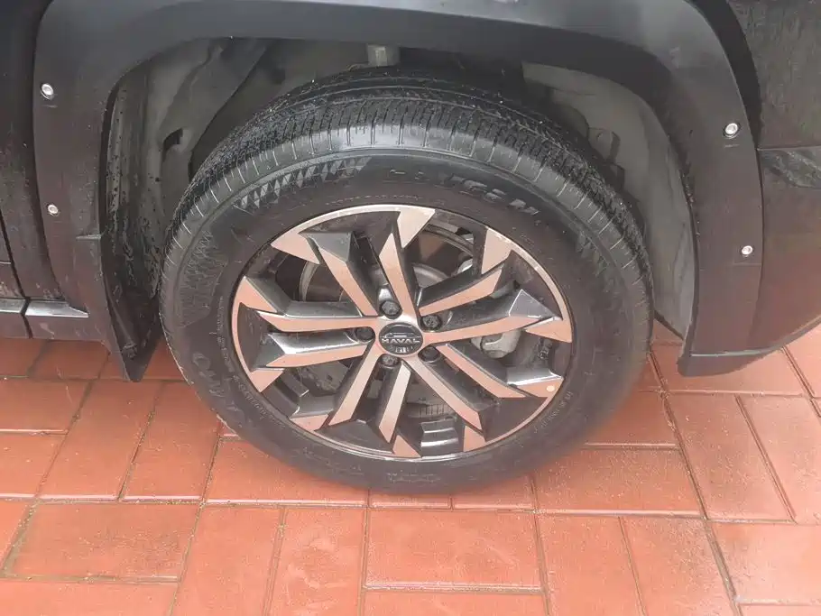 Haval Big Dog PLUS — миниатюра 6