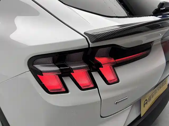 Ford Mustang Mach-E — миниатюра 10