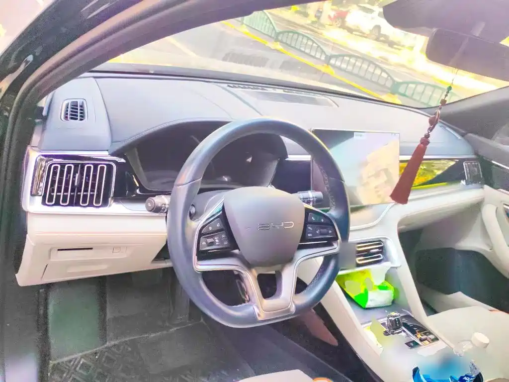 BYD PLUS New Energy — миниатюра 5