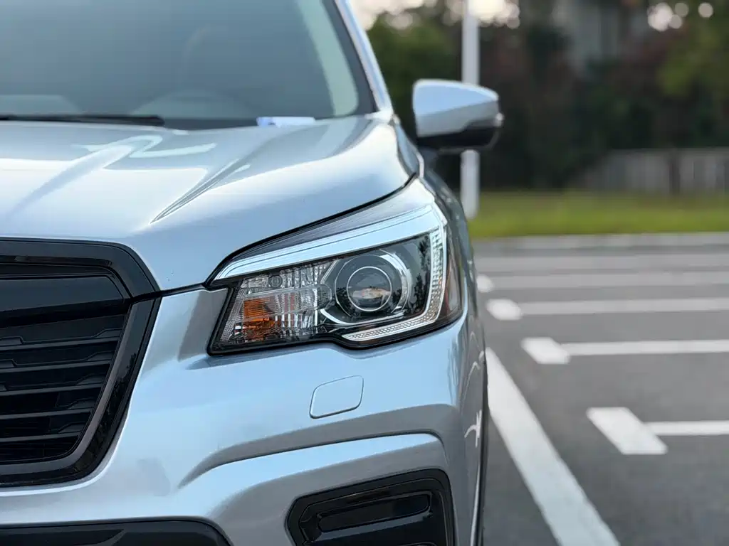 Subaru Forester — миниатюра 24