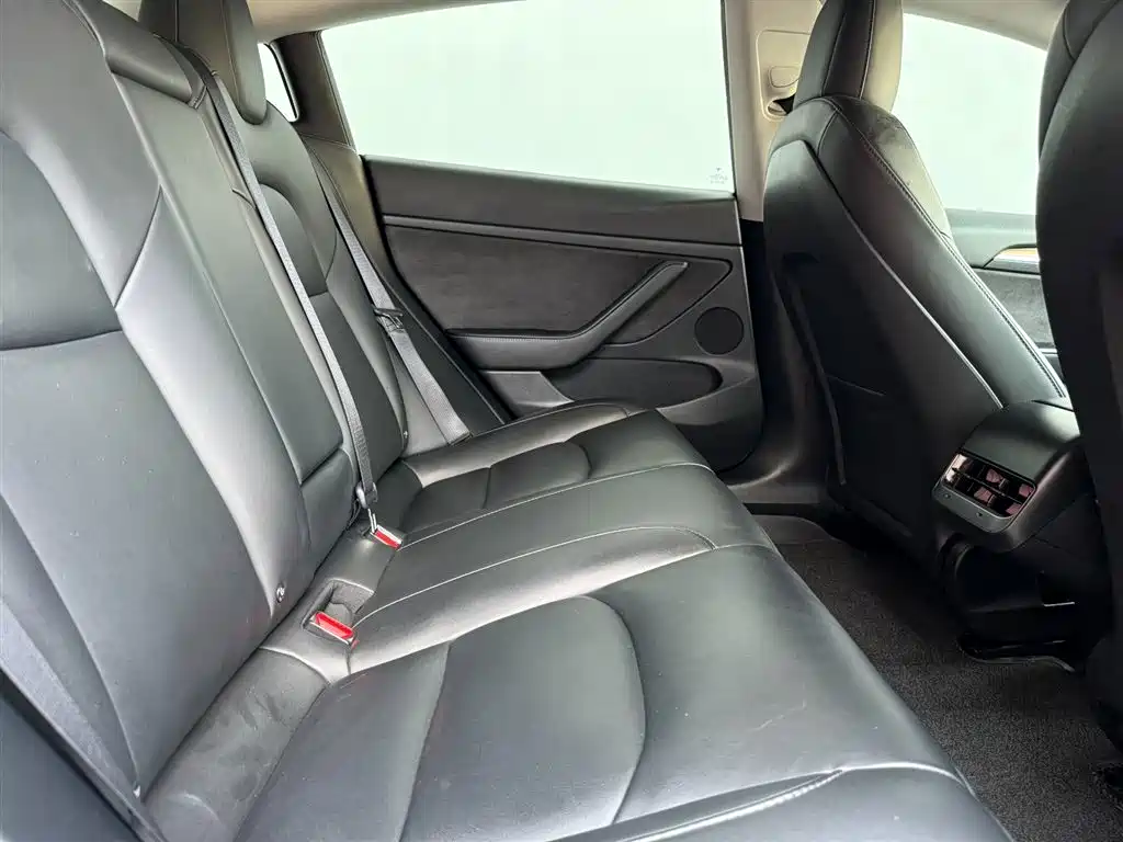 Tesla Model 3 — миниатюра 13