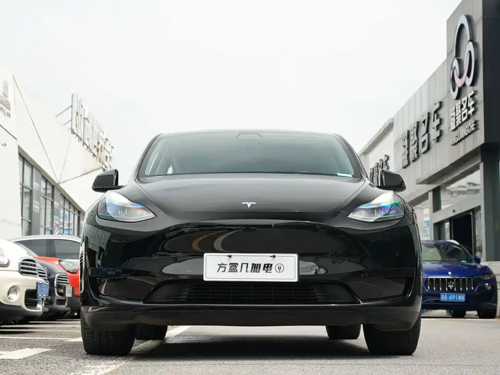 Tesla Model Y — миниатюра 8