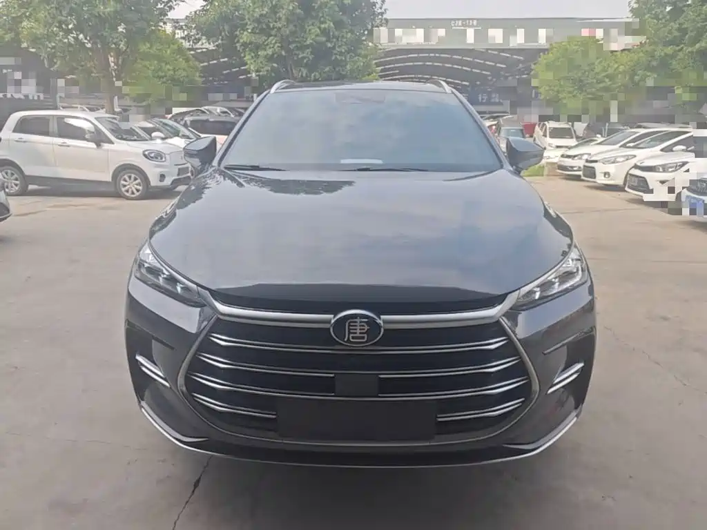 BYD Tang New Energy — миниатюра 3