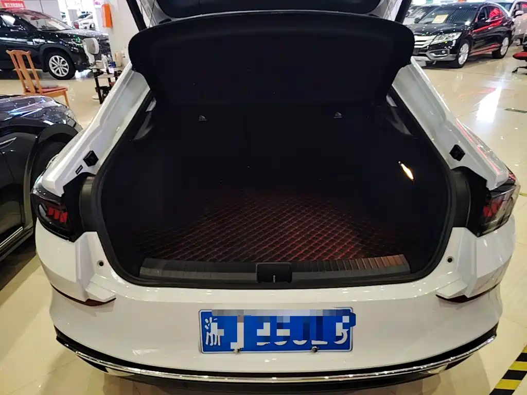 Volkswagen Lamando — миниатюра 19