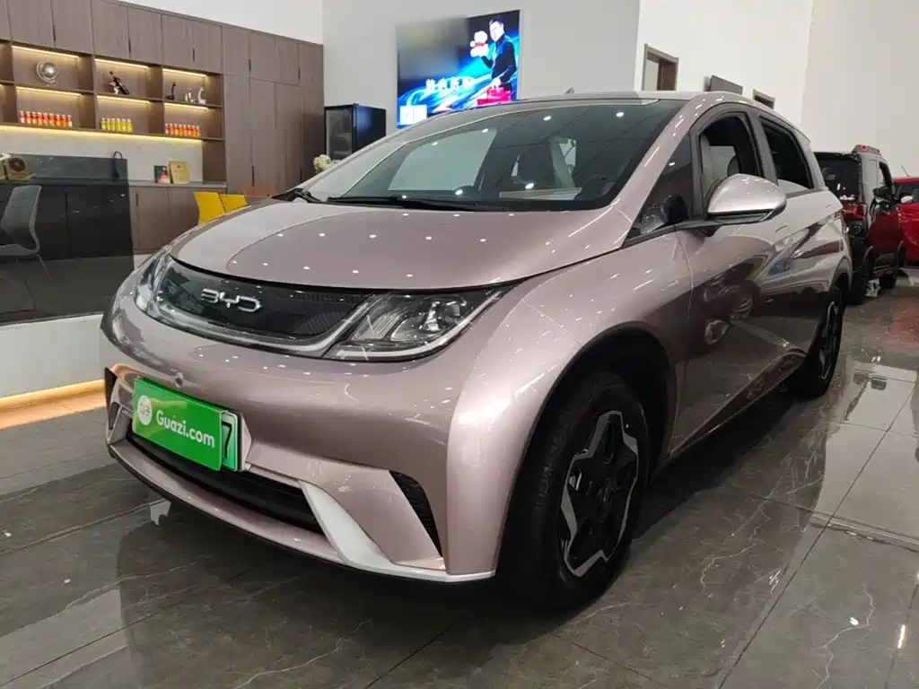 BYD Dolphin — миниатюра 2