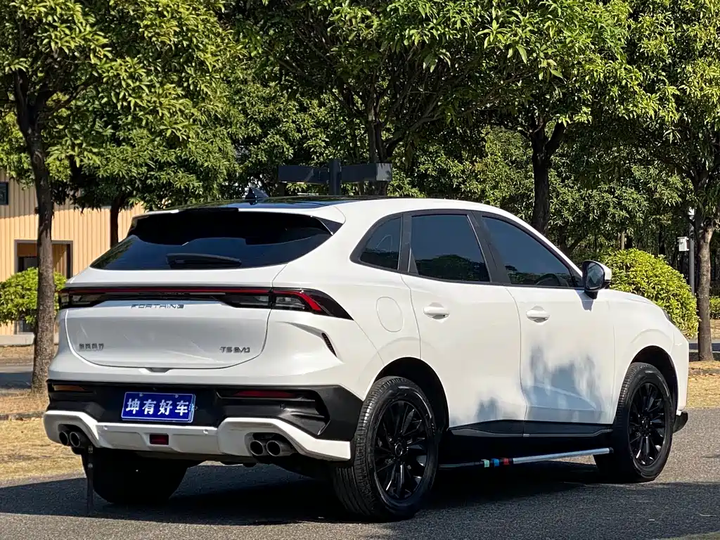 DONGFENG POPULAR T5 EVO