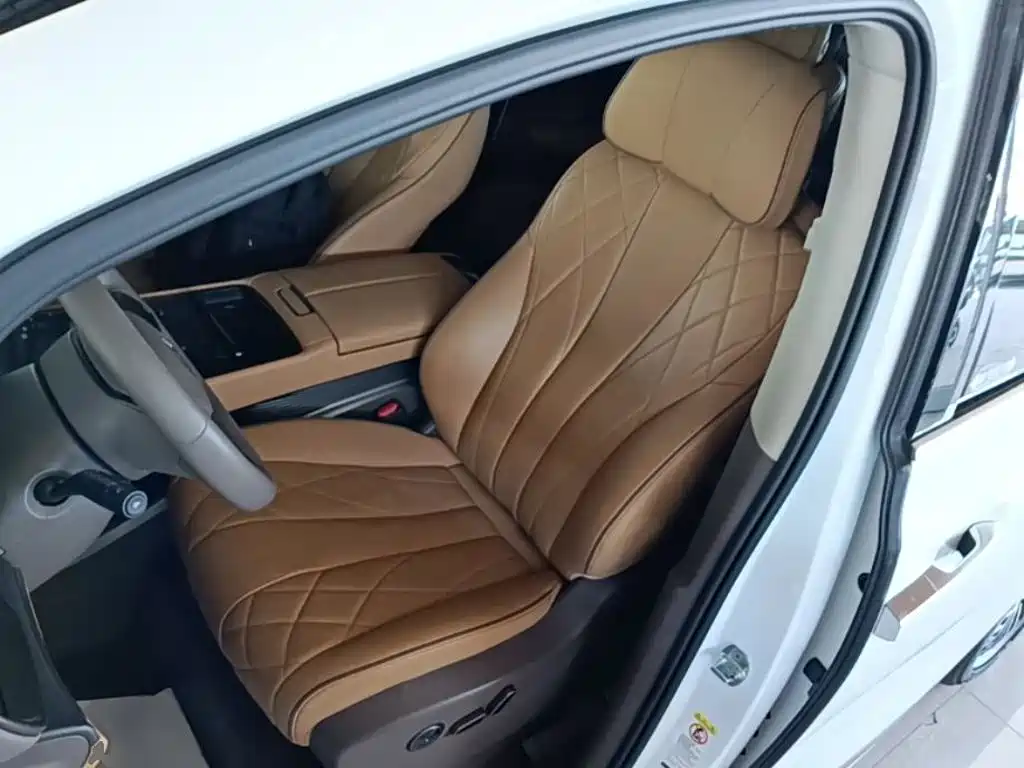 Denza Denza D9 — миниатюра 15