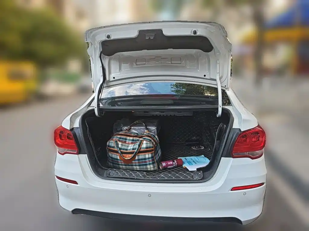 Chevrolet Cavalier — миниатюра 15