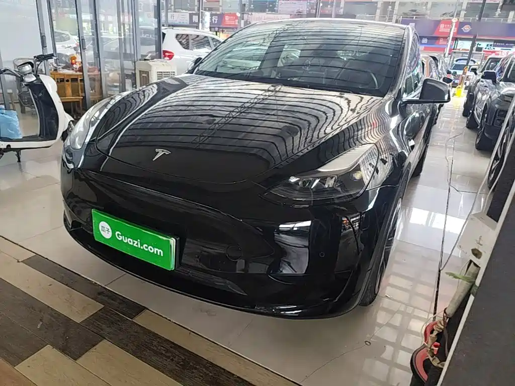 Tesla Model Y — миниатюра 2
