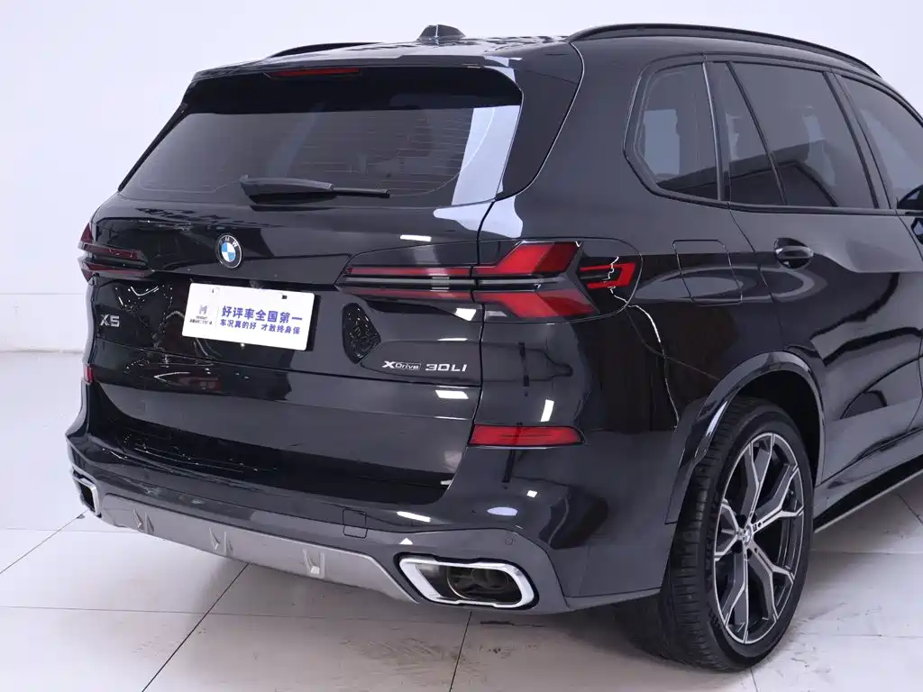 BMW X5 — миниатюра 8