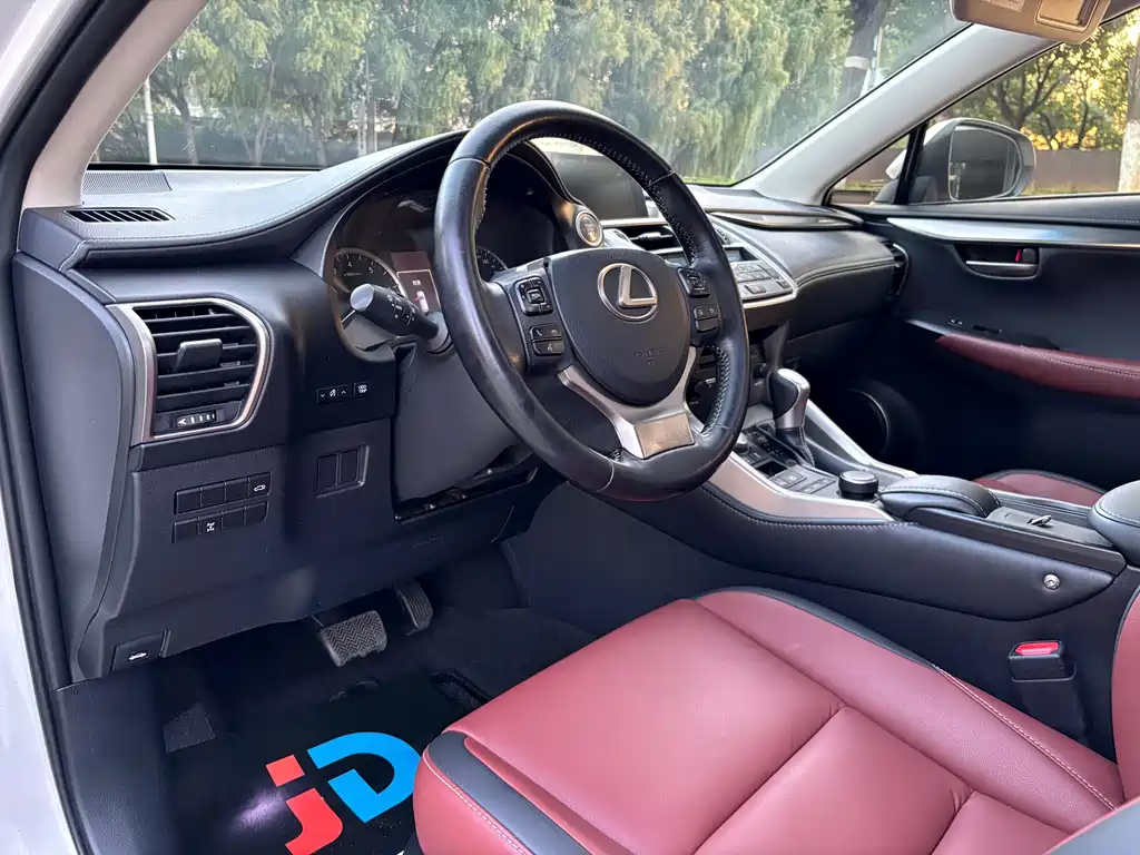 Lexus NX — миниатюра 15