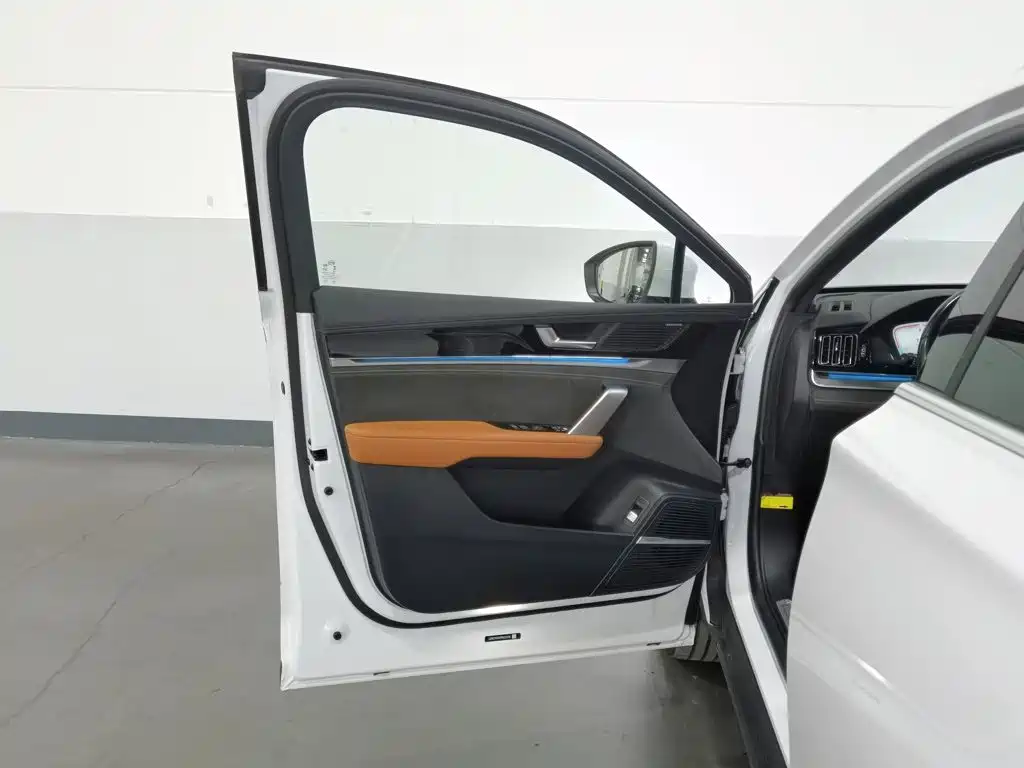 BYD Tang New Energy — миниатюра 8