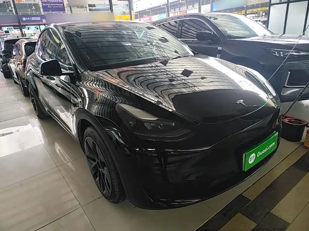 Tesla Model Y — миниатюра 4